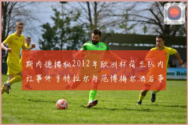 斯内德揭秘2012年欧洲杯荷兰队内讧事件亨特拉尔与范博梅尔酒后争执内幕